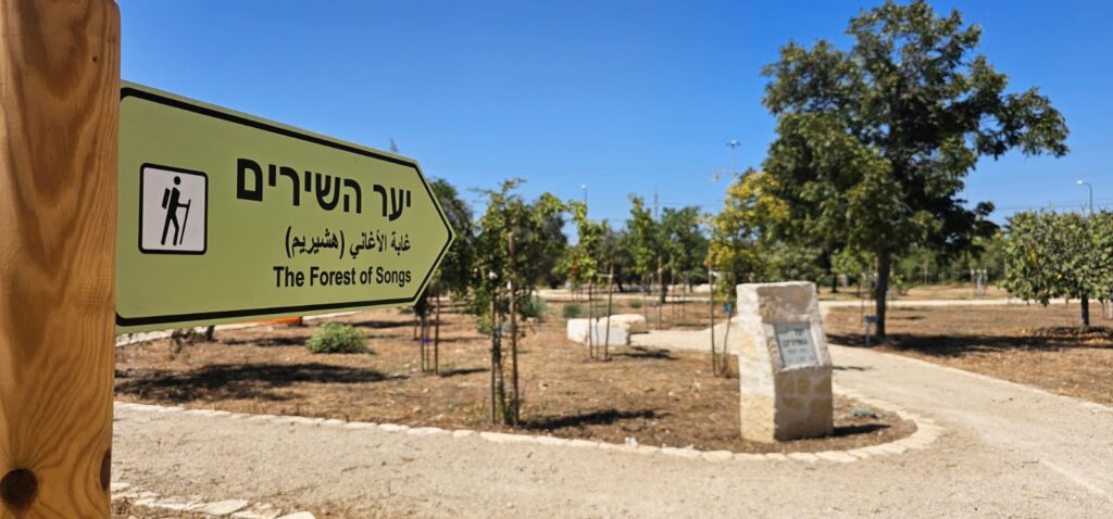 יער השירים ושלולית החורף בפתח תקווה