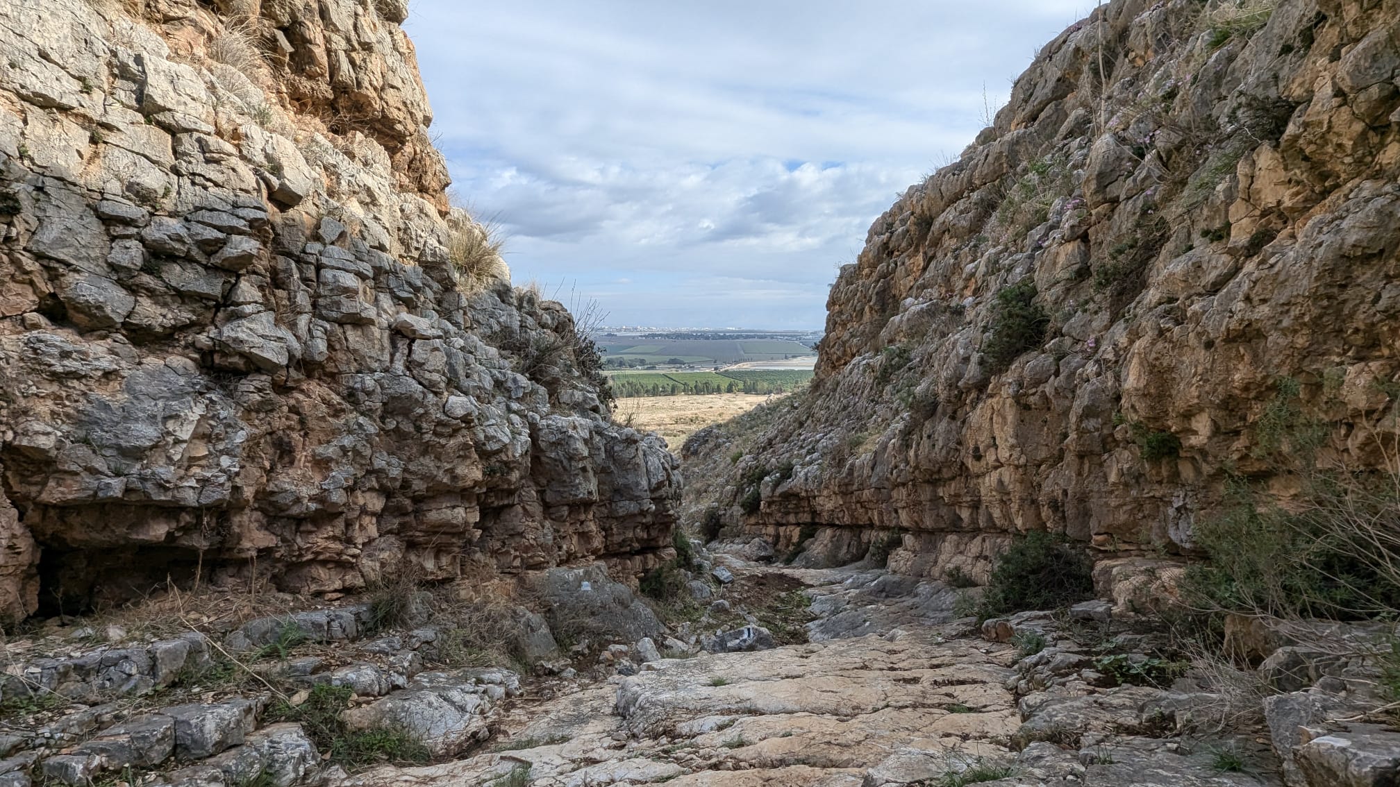 נחל צביה ומתלול אבינדב: שמורת טבע גלבוע מזרחי