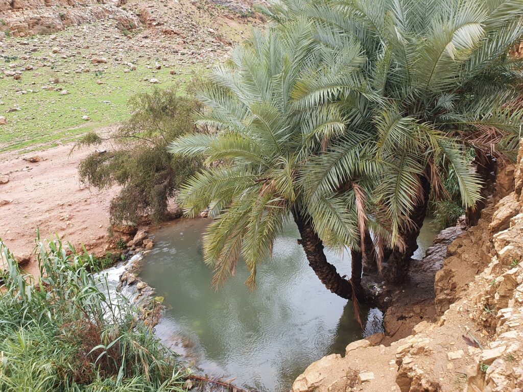שמורת נחל ייט"ב: עין עוג'ה והמגלשה