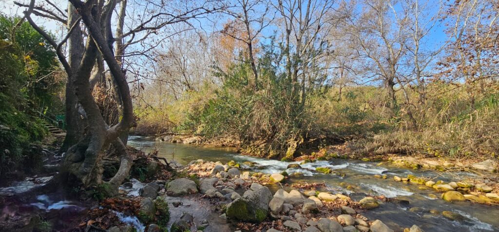 שמורת הטבע נחל שניר – חצבאני
