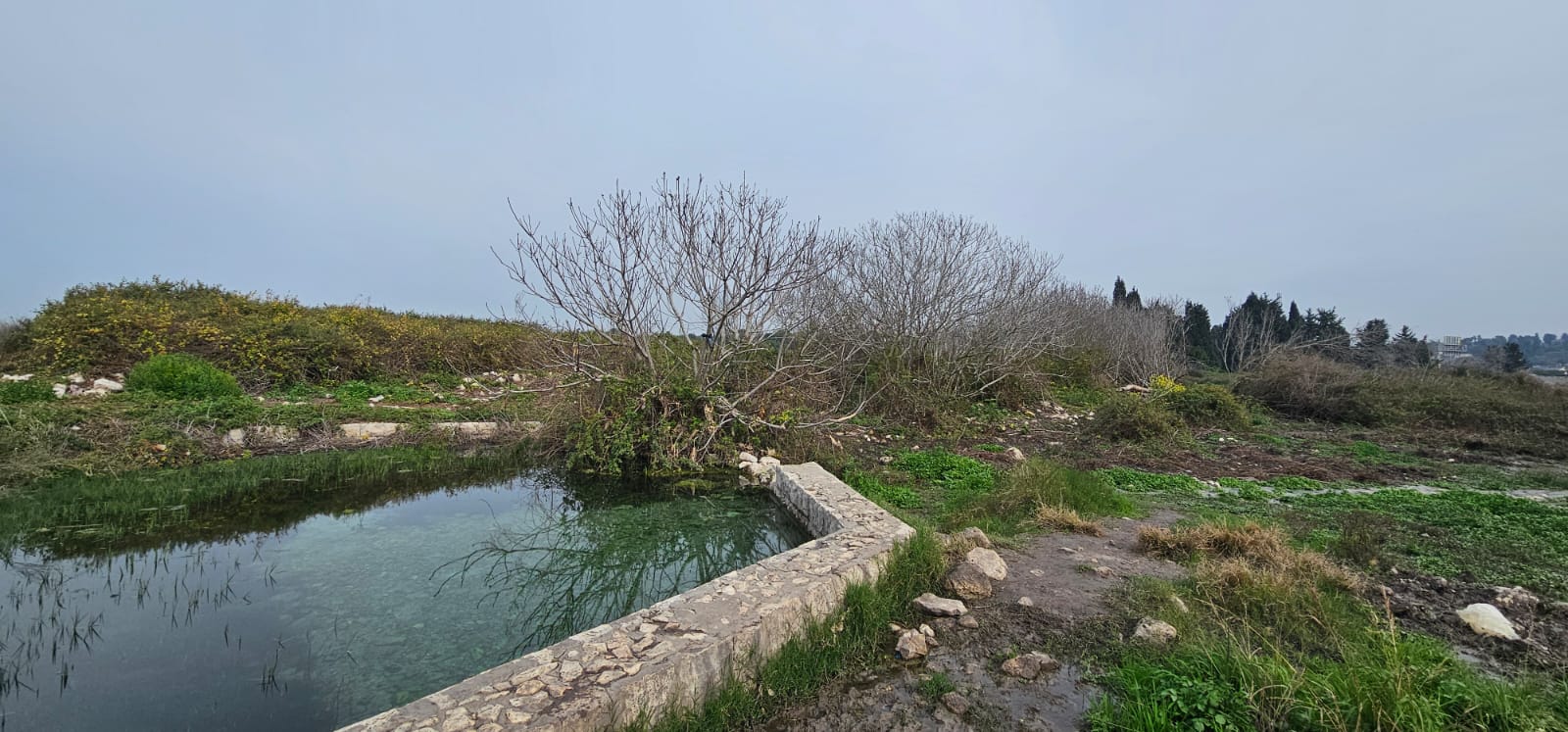 שמורת טבע עין ארובות
