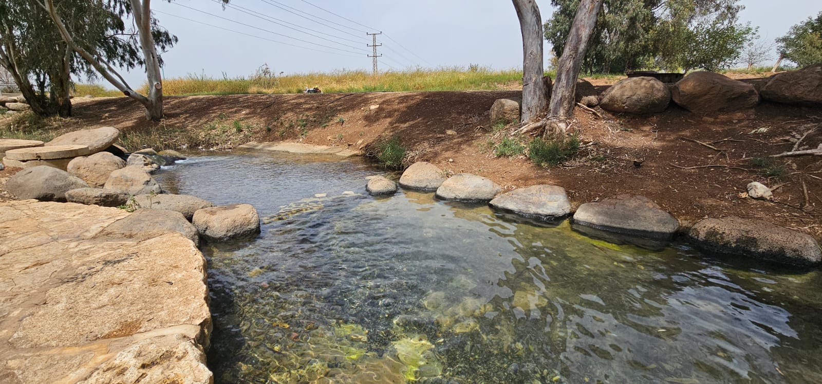 חורשת גדעון - בריכת גידעונה נחל חרוד