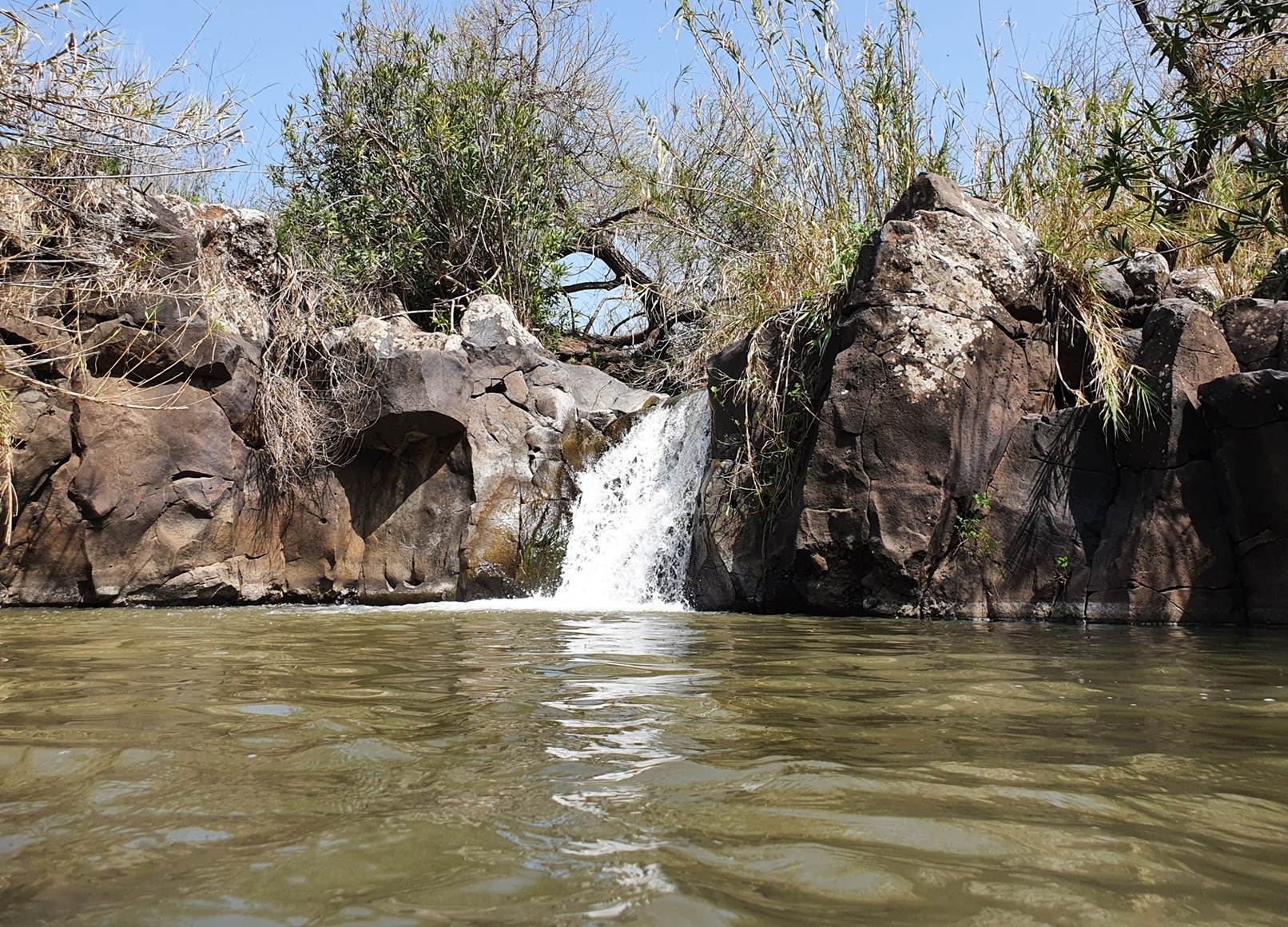 עין זכרי: בריכת עמיחי בנחל המשושים
