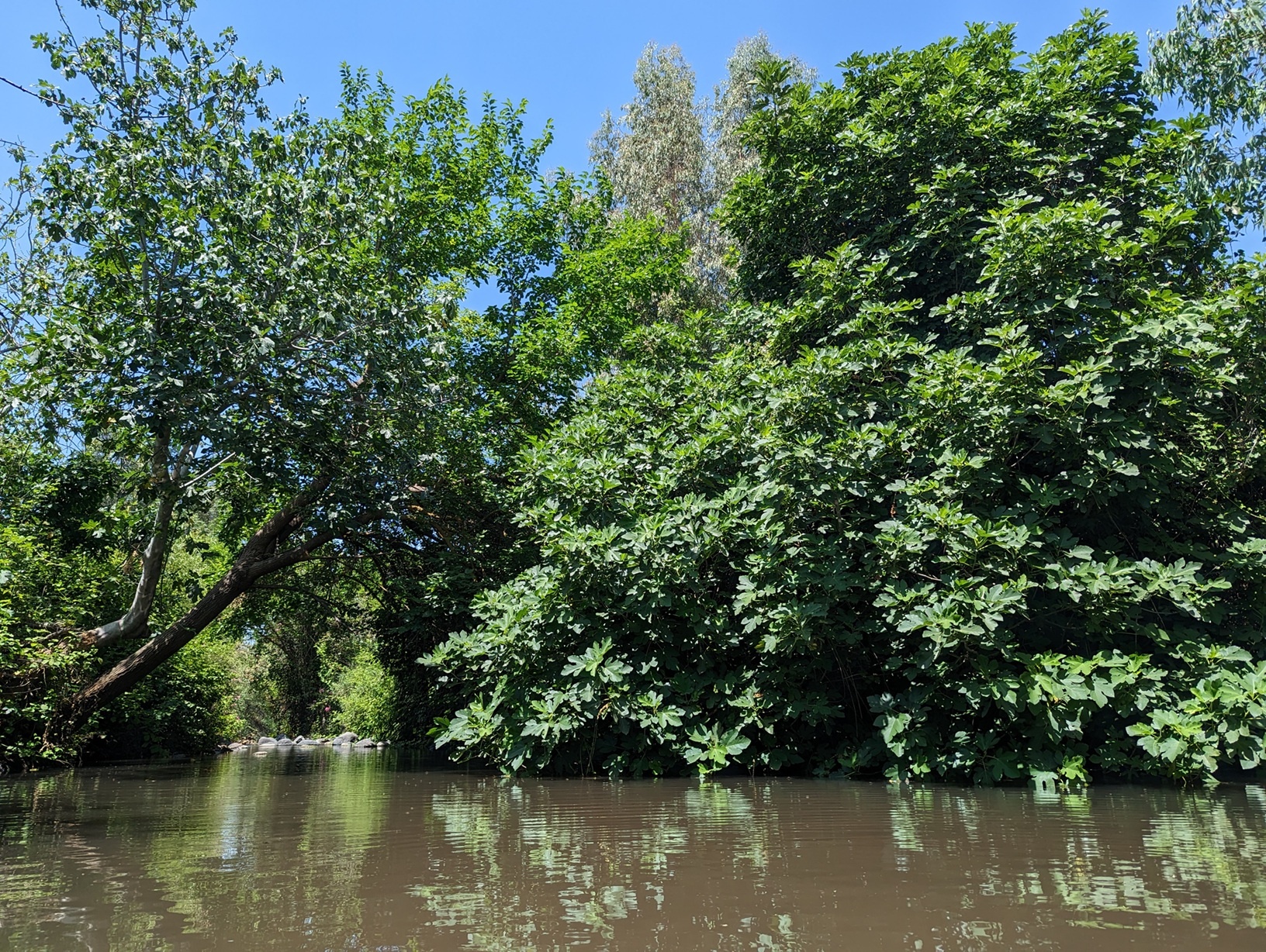 הזאכי: פנינת טבע קסומה במפגש הנחלים יהודיה ומשושים