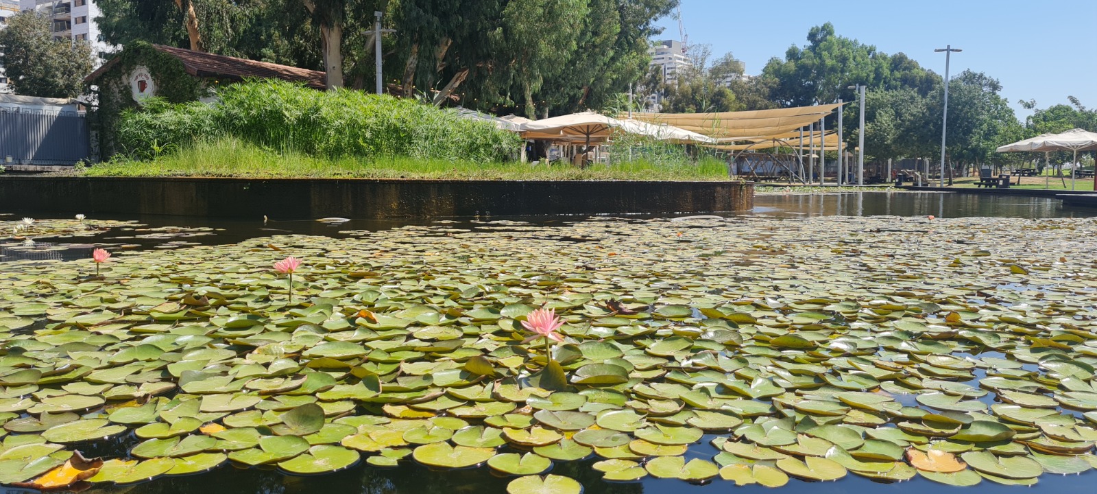 גן בעברית ראשון לציון: חוויה לימודית וכיפית לכל המשפחה