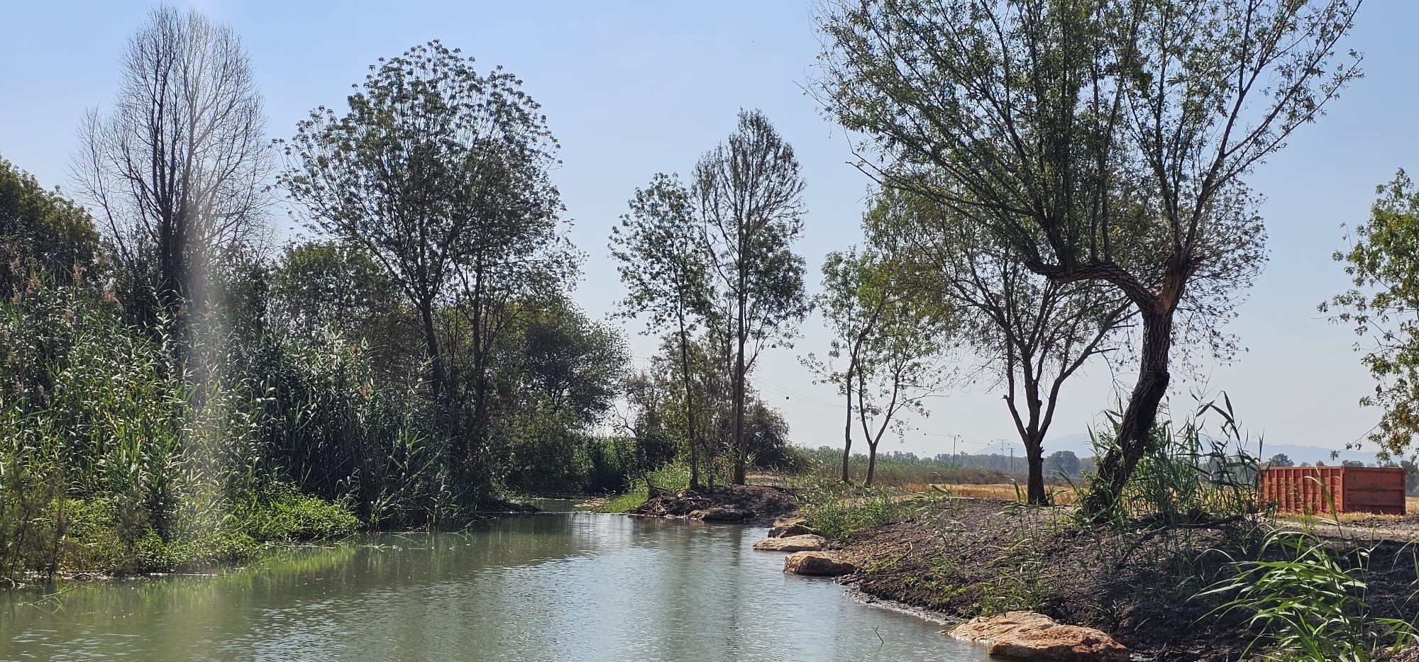 עין עדעד המחודש