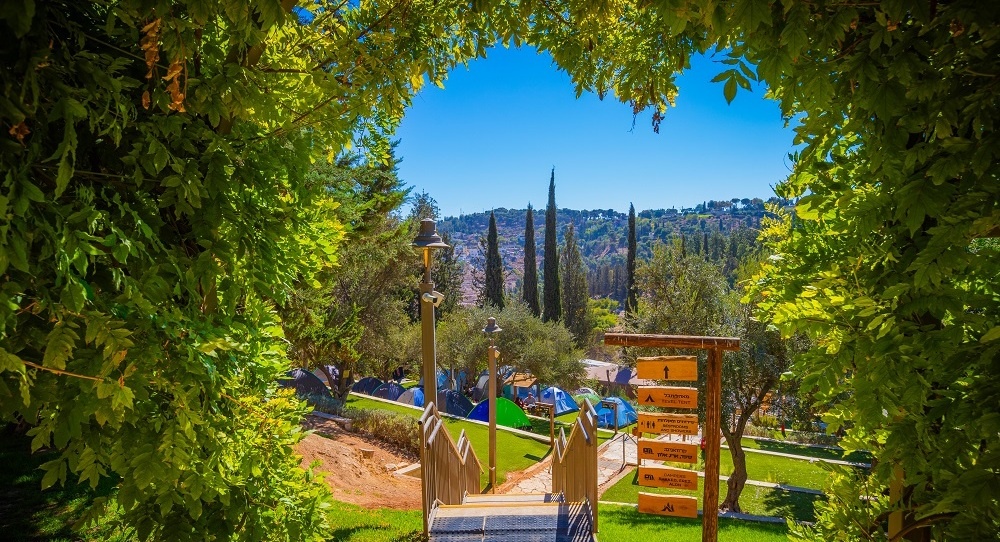 באדיבות יער השלום