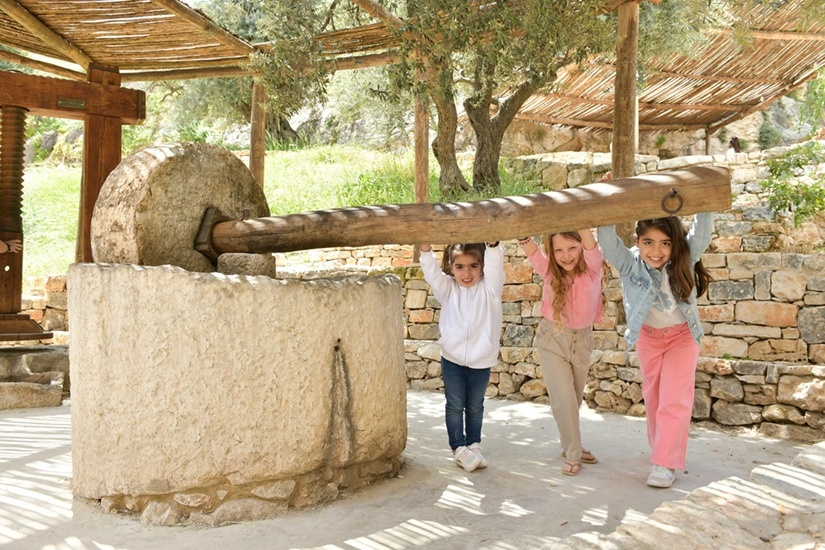 החווה בגיא - צילום עיר דוד