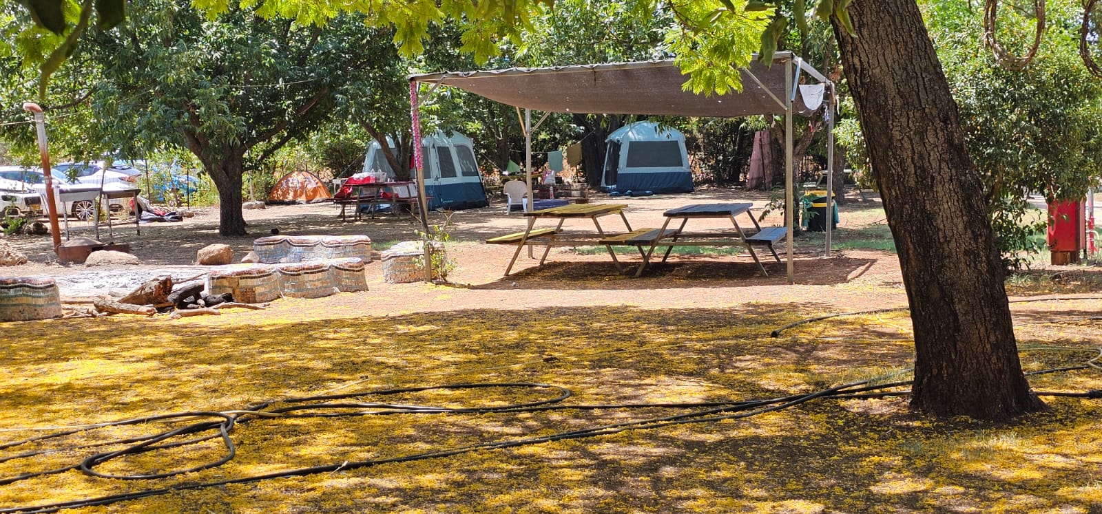 חניון הבאניס: אתר קמפינג בשאר ישוב