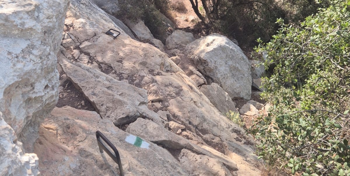 נחל גלים: מסלול בלב הכרמל מהאוניברסיטה ועד לטירת כרמל