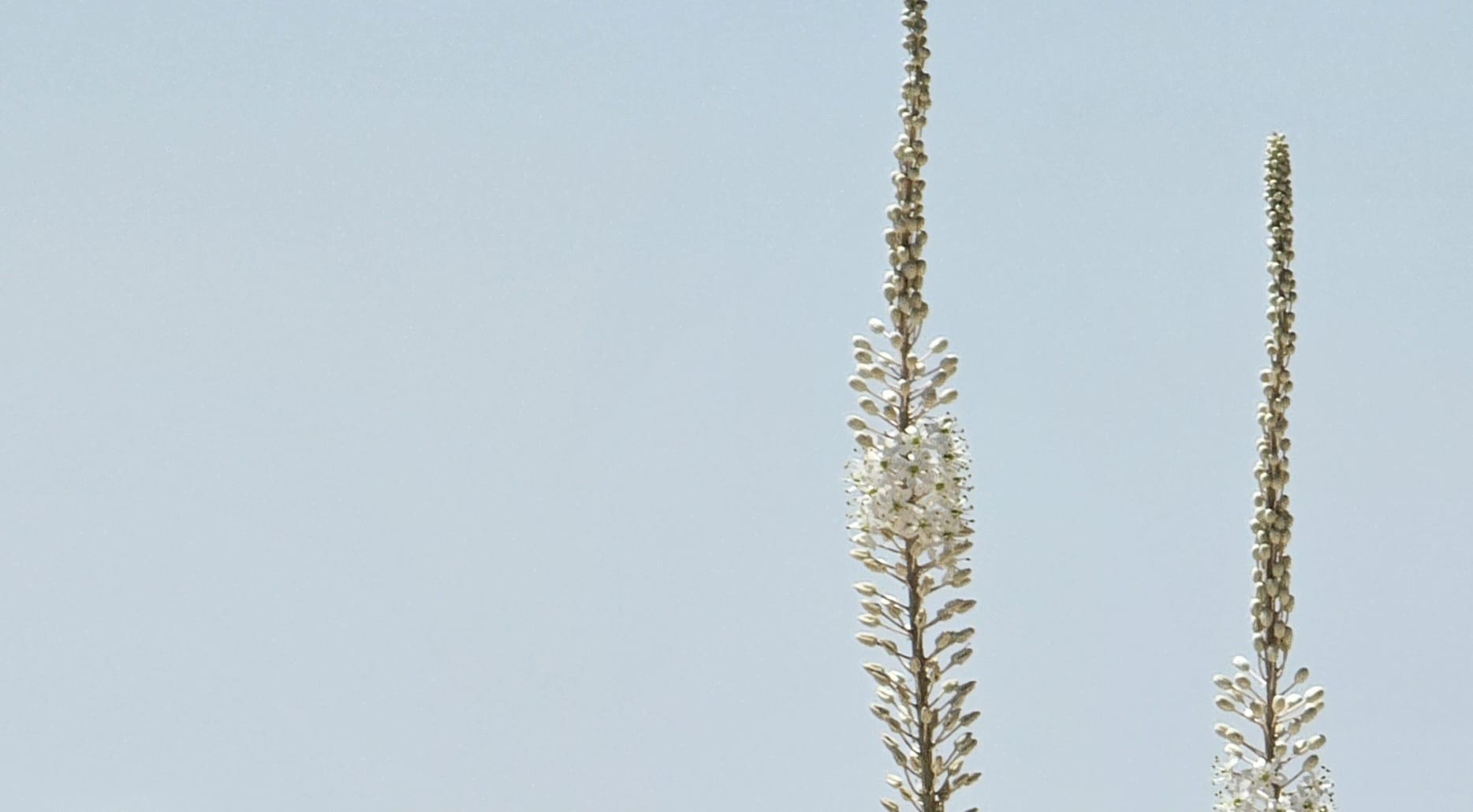 שביל החצבים בנחל טוביה ערד