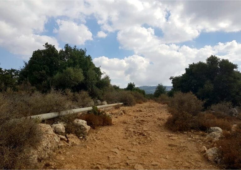 שמורת הטבע נחל עמוד