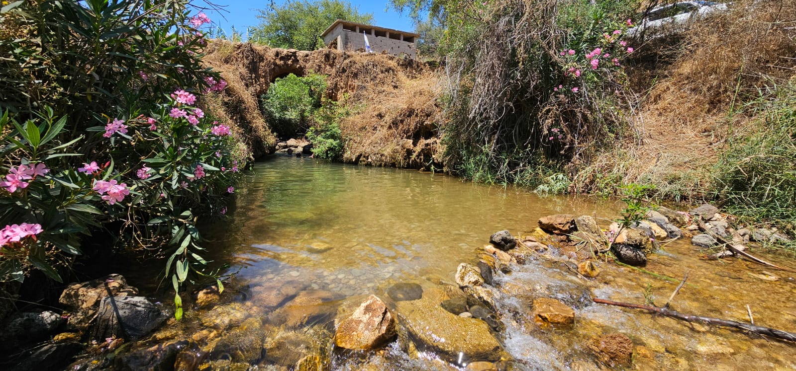 גשר הטרוורטין בנחל צלמון