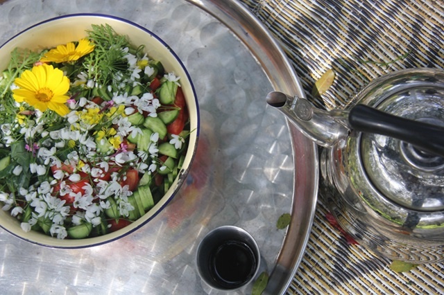 מהטבע לצלחת – סיור ליקוט באדיבות רמת הנדיב