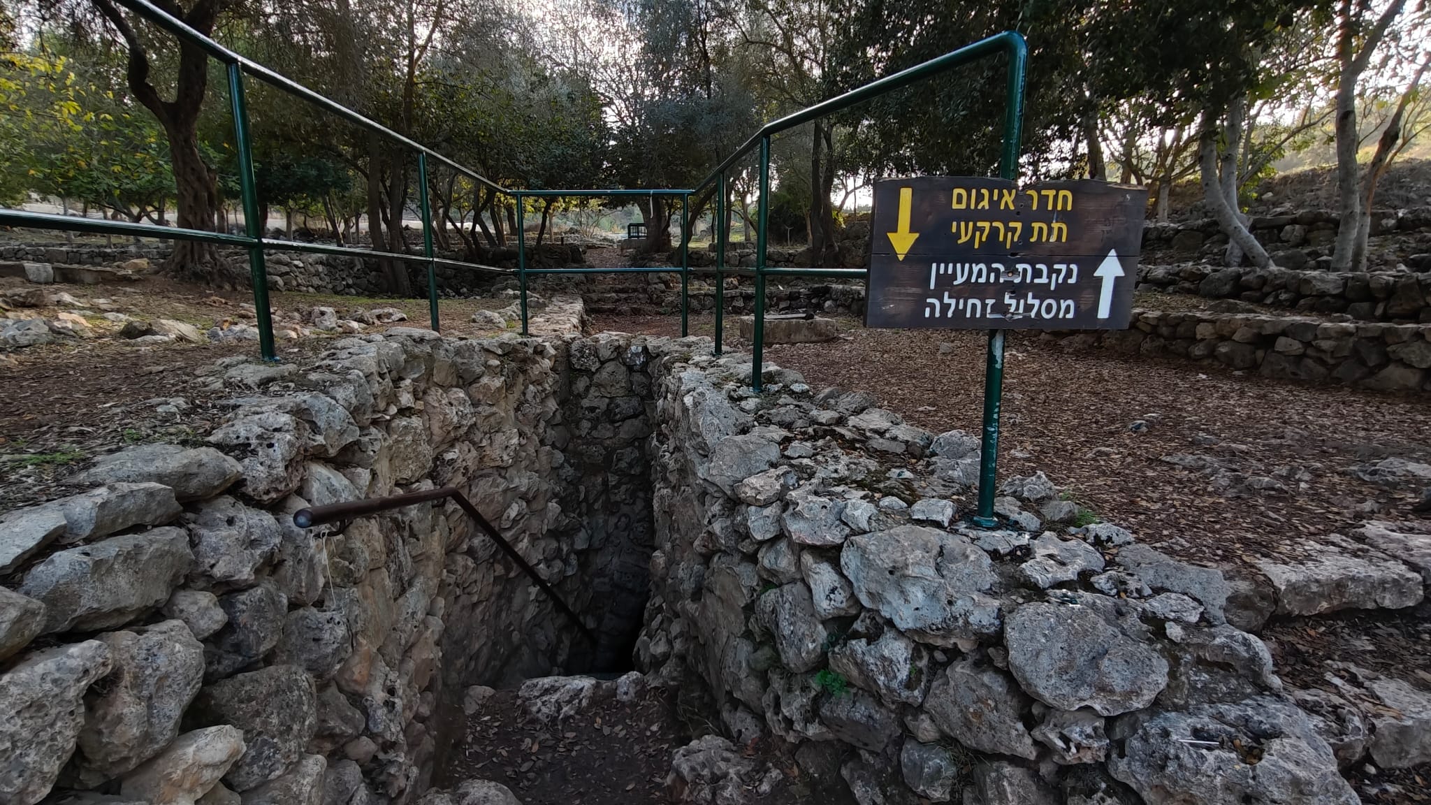 עין קובי צילום יעל קורץ