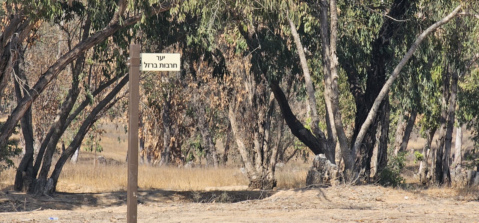 יער חרבות ברזל: אתר הזיכרון להנצחת קורבנות 7 באוקטובר