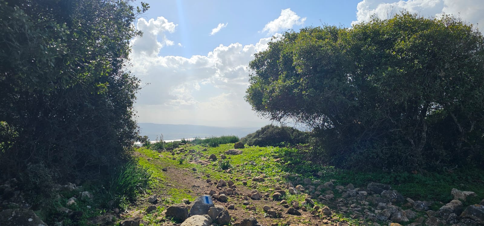 שמורת הטבע הר עצמון