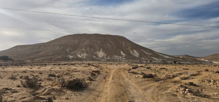 בורות רמליה: טיול מדברי אל בורות המים של הנבטים בלב נחל צין