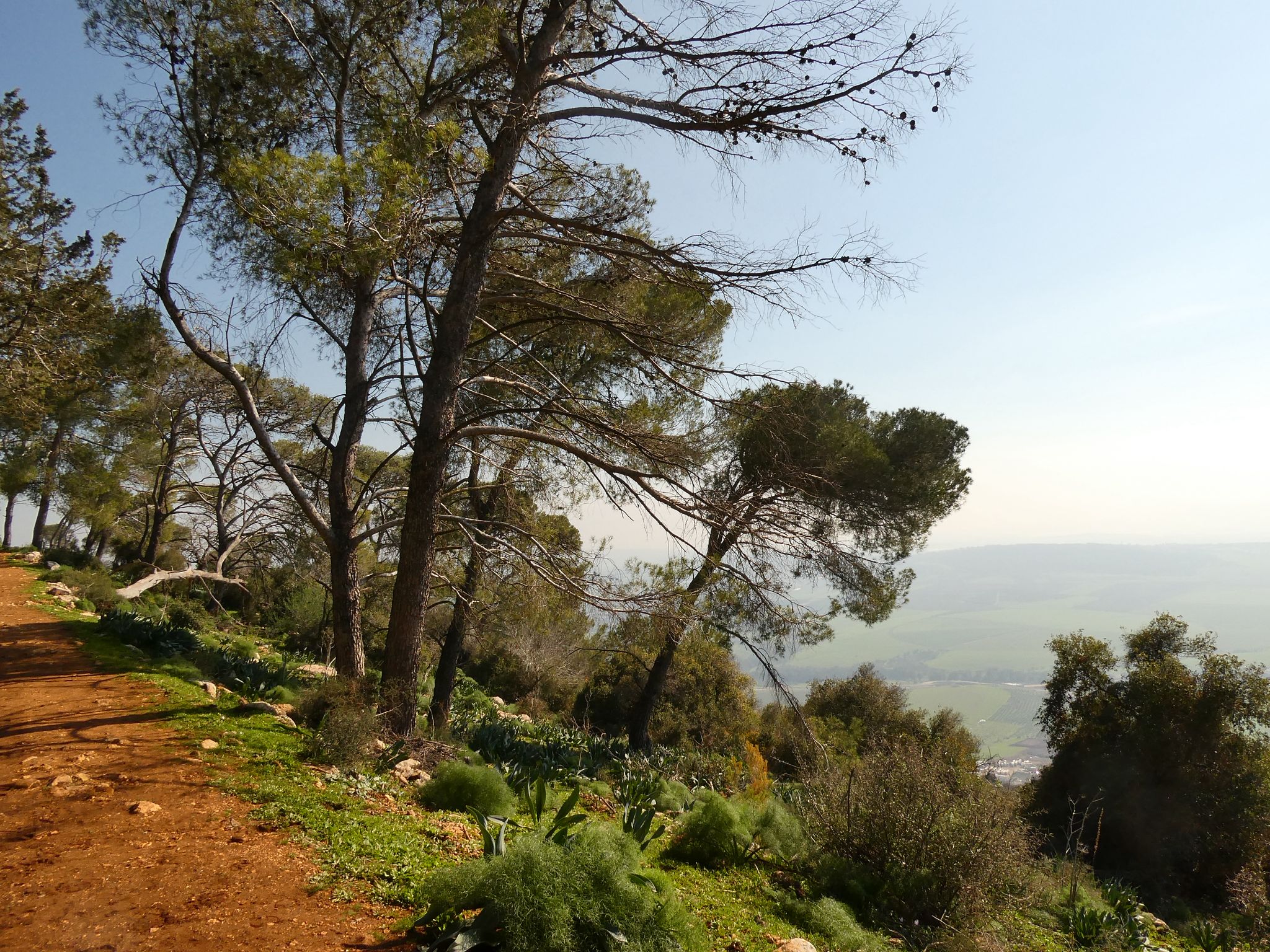 שביל הפסגה הר תבור