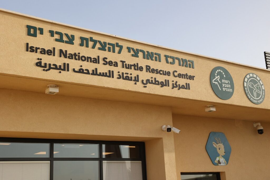 המרכז הארצי להצלת צבי הים, צילום שי אייזקס, רשות הטבע והגנים
