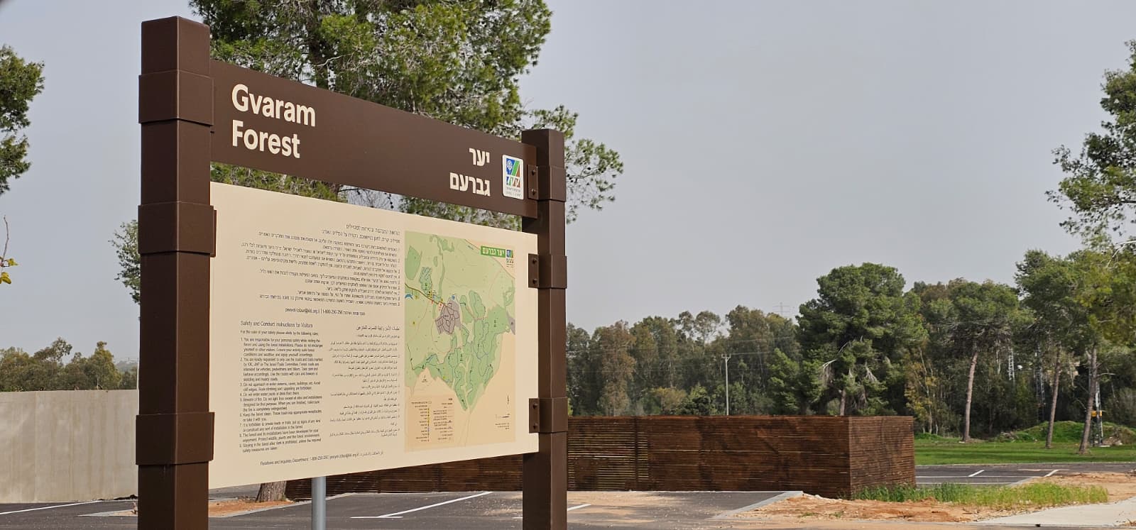 טיול ביער גברעם: אמפי ההנצחה, גבעות הכורכר ופריחת הכלניות