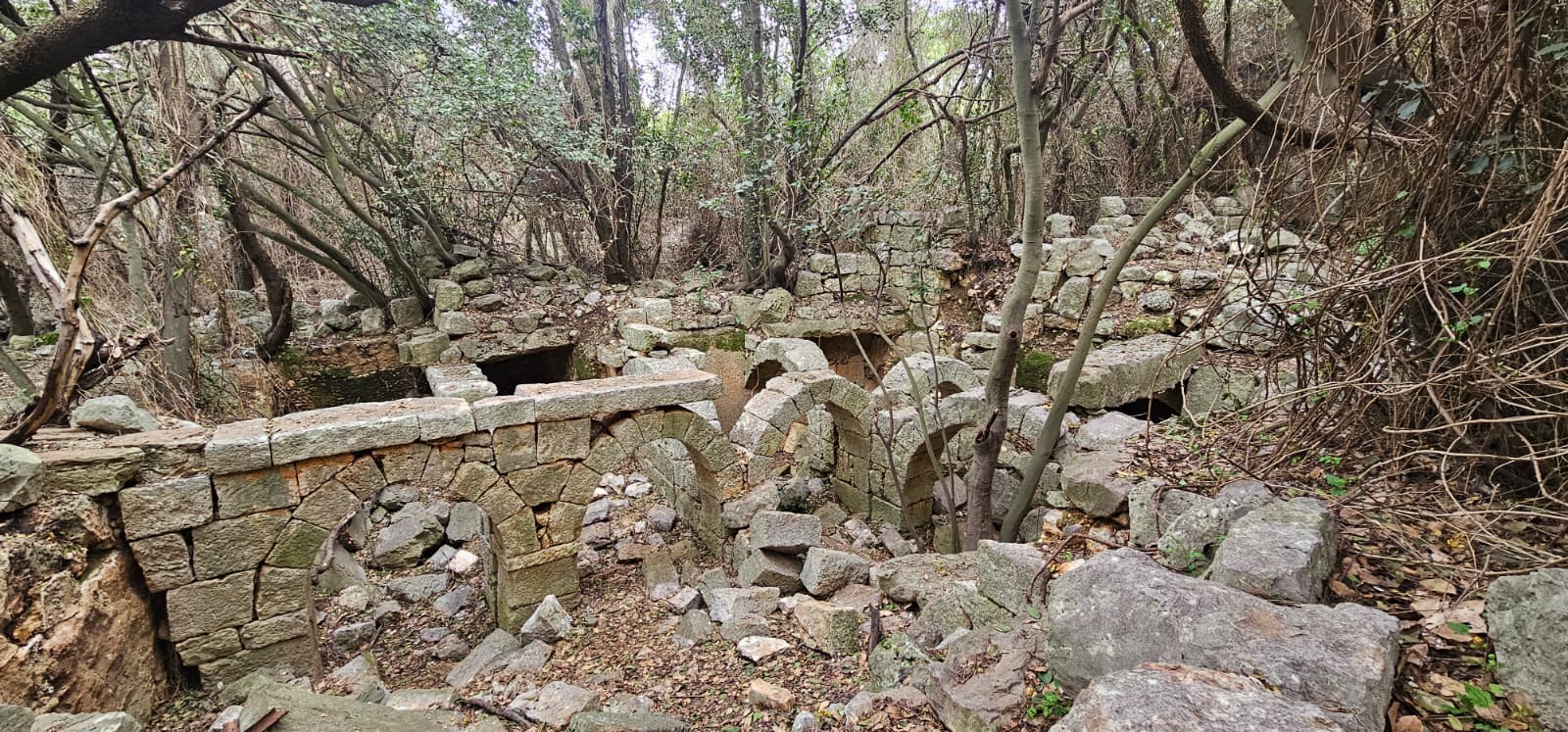 חרבת צונם: העיר האבודה של הגליל המערבי