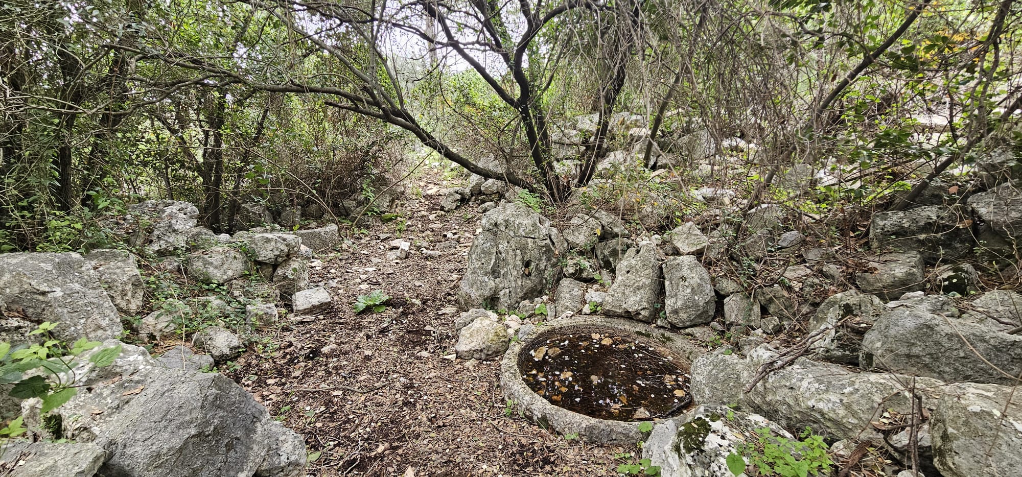 חרבת דנעילה: מסע בין בתי בד עתיקים בגליל המערבי
