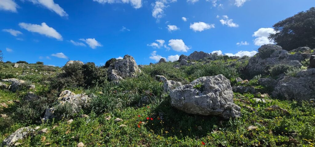 השביל האדום המוביל אל חרבת כרך ונחל רקפת