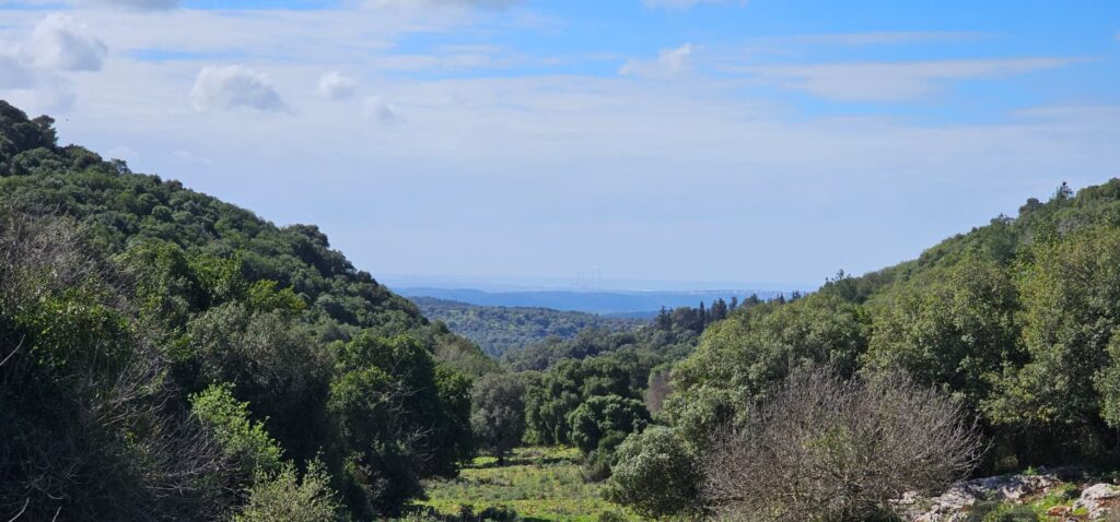 השביל האדום המוביל אל חרבת כרך ונחל רקפת