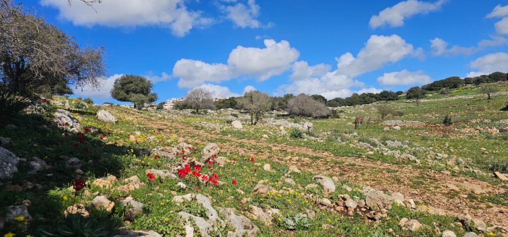השביל האדום המוביל אל חרבת כרך ונחל רקפת