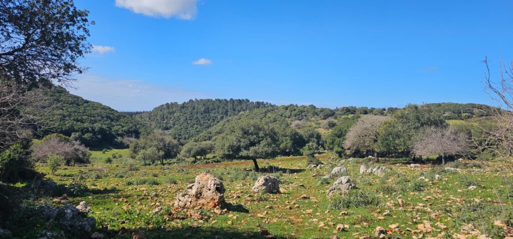 השביל האדום המוביל אל חרבת כרך ונחל רקפת