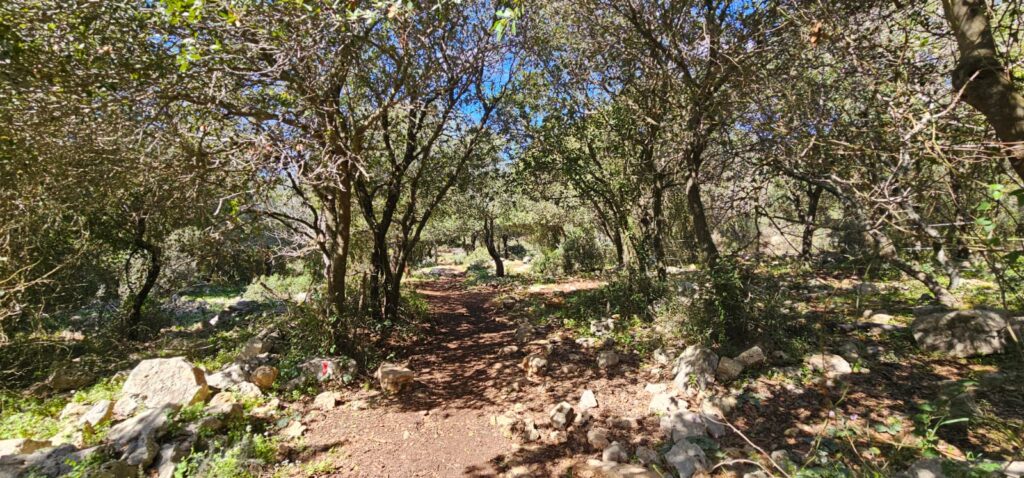 השביל האדום המוביל אל חרבת כרך ונחל רקפת