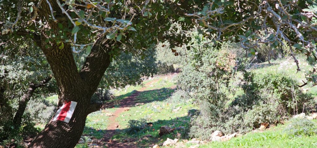 השביל האדום המוביל אל חרבת כרך ונחל רקפת
