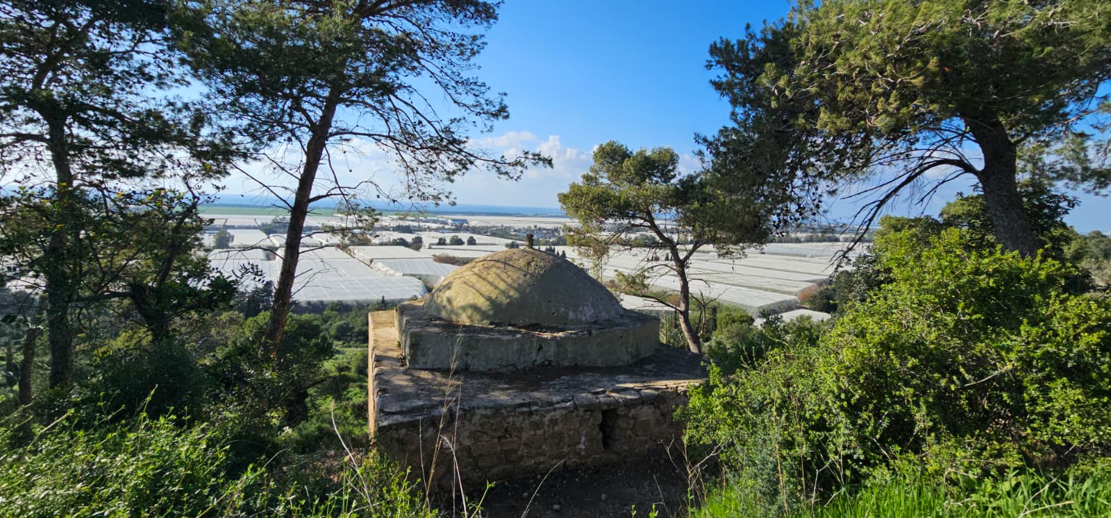 מסלול מעגלי משפחתי ביער עופר