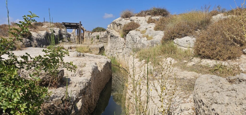 שמורת הטבע נחל תנינים האמה הבלתי גמורה