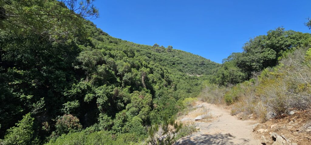 קטע צעידה חשוף לשמש לצד מצוק בנחל כלח