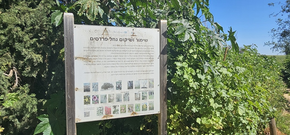 נחל פרדסים בתל אביב