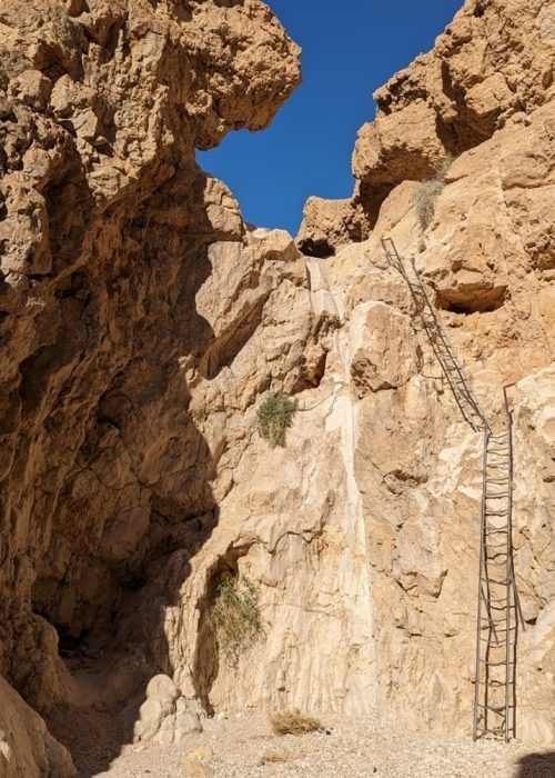 נחל תמר ונחל צפית: מסלול למשפחות שאוהבות אתגרים - בשביל המשפחה