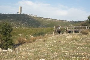 שמורת הטבע חי בר חיפה