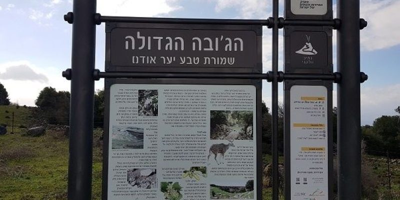 הג'ובה הגדולה שמורת טבע יער אודם