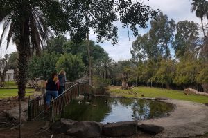 גן וחיות - גן חיות בקיבוץ דגניה א'
