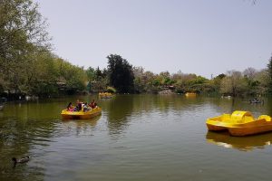 אגם חי יראון