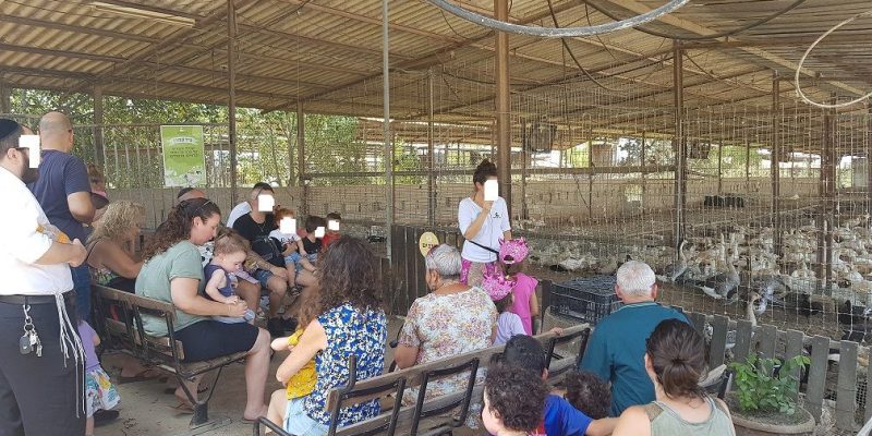 ברווזים בכפר – מרכז מבקרים לכל המשפחה