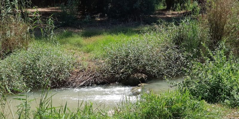 שביל נחל נעמן – טיול מונגש לעגלות לצד הנחל