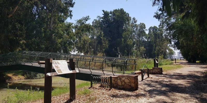 שביל נחל נעמן – טיול מונגש לעגלות לצד הנחל