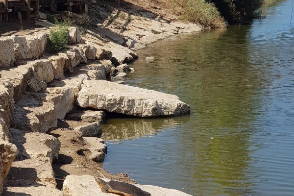 נחל אלכסנדר – פארק צבי הנחל