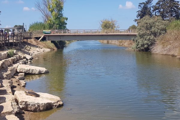 נחל אלכסנדר – פארק צבי הנחל