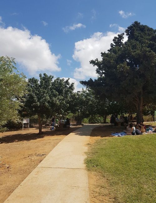 נחל אלכסנדר גשר הצבים – פארק צבי הנחל