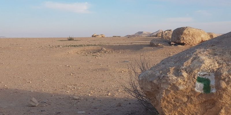 מצפה דור נחל צין מדרשת בן גוריון