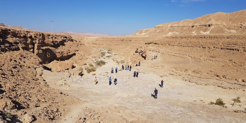 גב ילק – טיול קצר בלב מכתש רמון